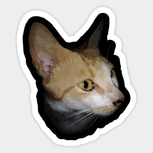 Cat Shirt Sticker